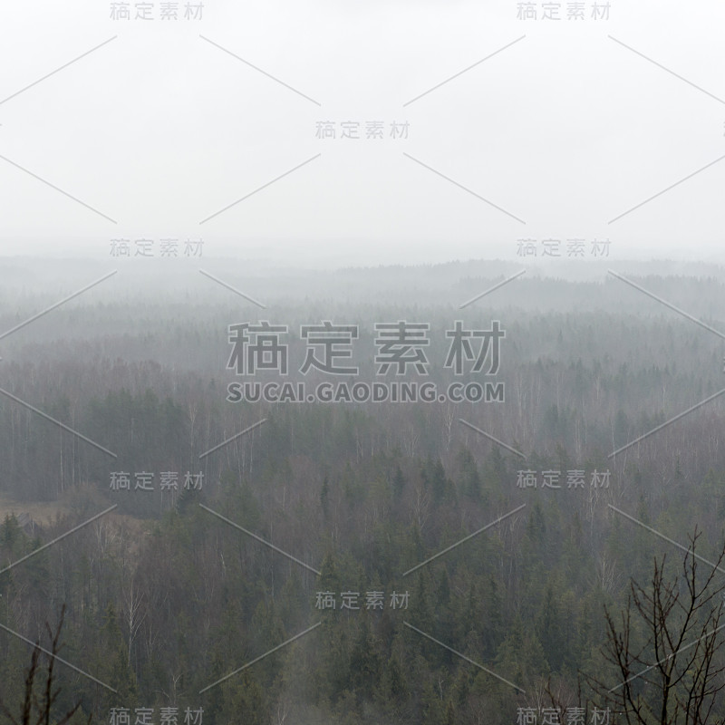 云雾雨林全景