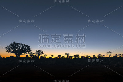 加拉斯日落时树木和岩石的剪影