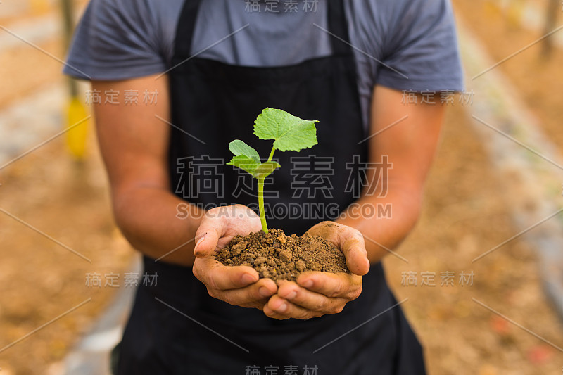 绿芽在老男人手里