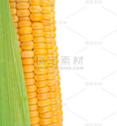 玉米棒子