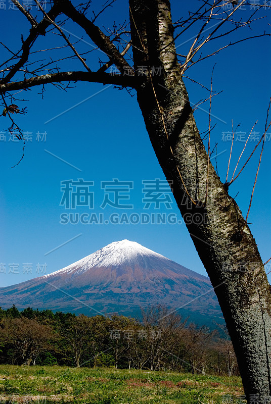 富士山