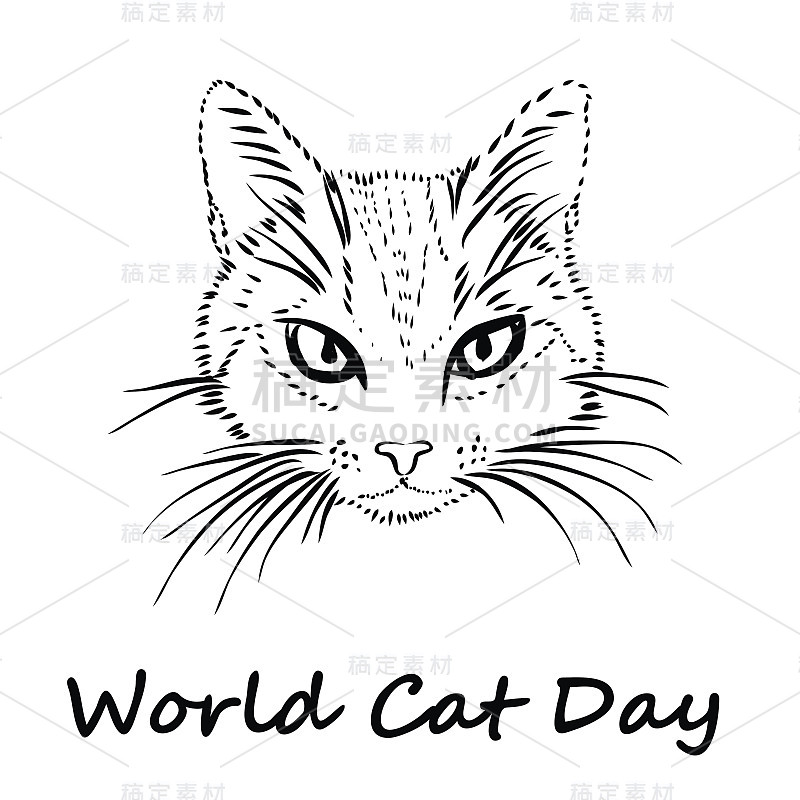 猫一天快乐。世界猫日。