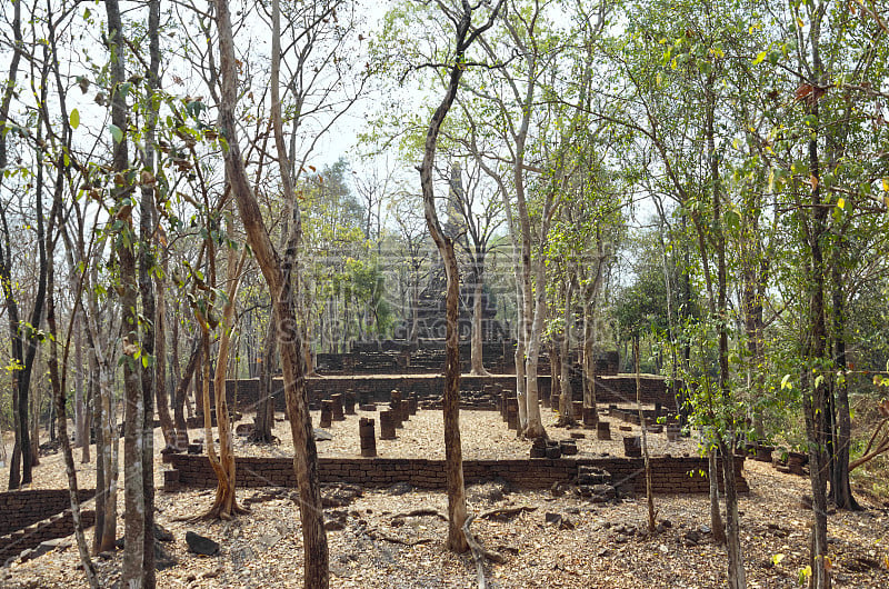 热带森林中的泰国古庙遗址(佛寺)。