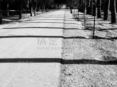黑白公园