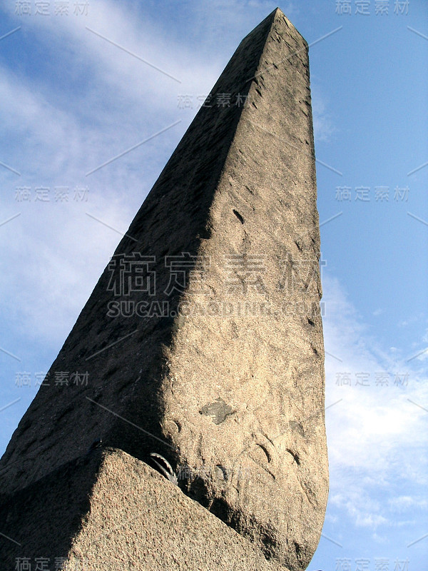 埃及针