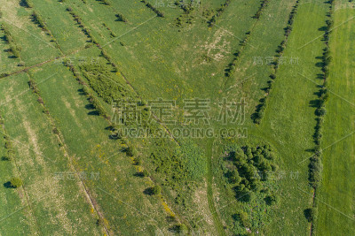 绿地鸟瞰图