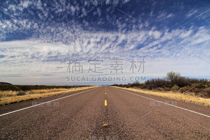 德州118号公路景观