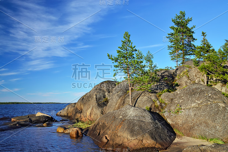 卡累利阿的风景:松树和岩石。俄罗斯