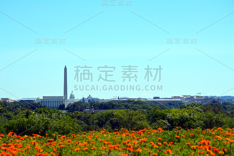 华盛顿特区夏季天际线全景