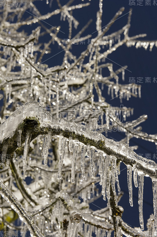 雨夹雪