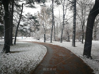 在雪地里穿过森林