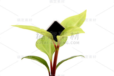 微电子与环保理念