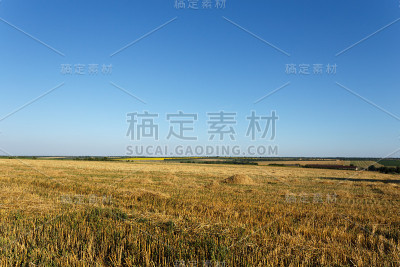 日落时倾斜的麦田
