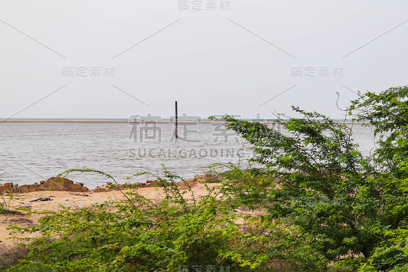 海岸和地平线通过绿色植物在著名的热门旅游目的地泰米尔纳德邦拉姆斯瓦拉姆