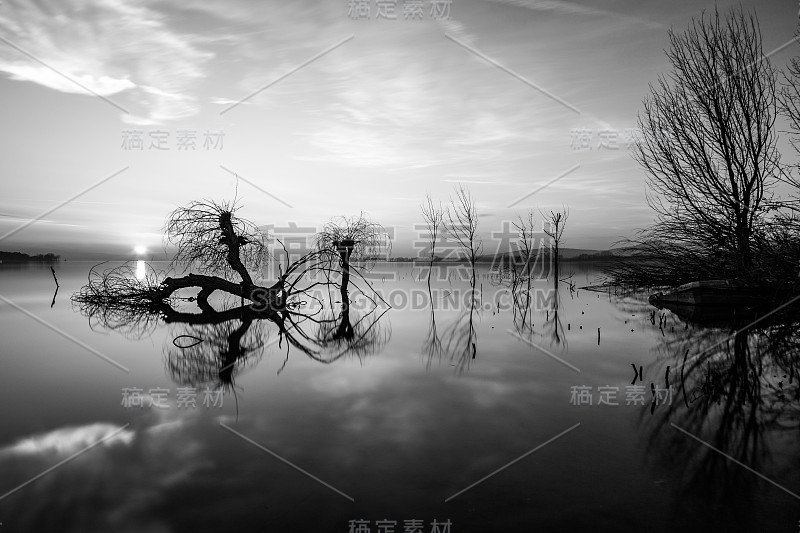 夕阳西下的特拉西梅诺湖(翁布里亚湖)，树木和树枝从完全静止的水面上伸出，太阳低悬在地平线上