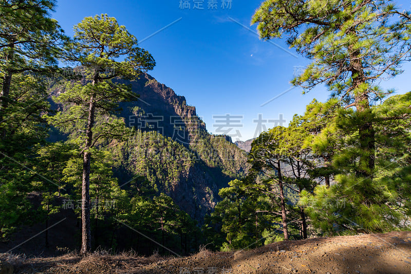 塔布里恩特火山口的风景与绿色的松林，峡谷和岩石山附近的观点Cumbrecita，拉帕尔马，加那利群岛