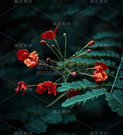 花