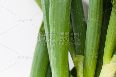 白色背景上的威尔士洋葱