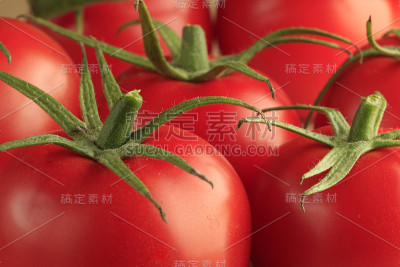 番茄关闭