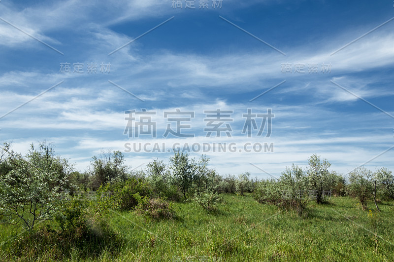 草原，草原，慈善，推翻