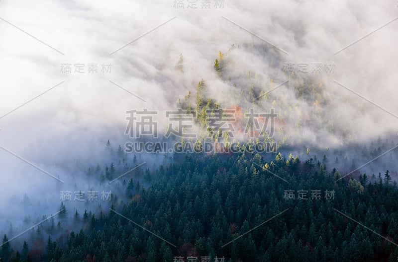 秋天阿尔卑斯山山薄雾从詹纳观景台，Schonau am Konigssee，德国巴伐利亚州。