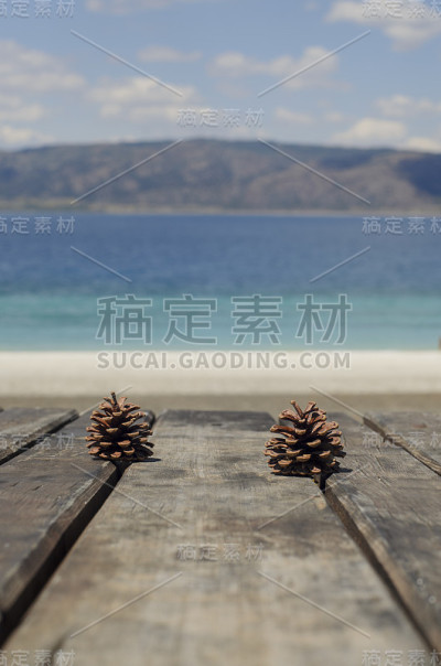 Sea和table detail