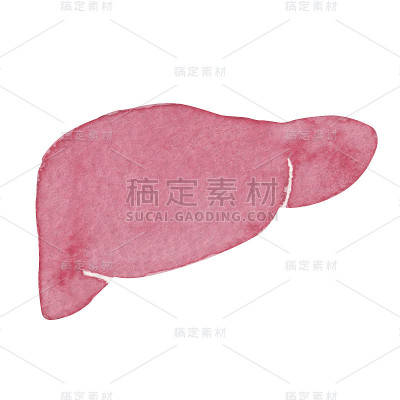 肝