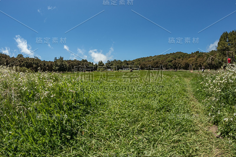 野餐烧烤区位于国家公园独特的残余森林中心，周围环绕着年轻的绿色草地。拉古纳格兰德，戈梅拉，加那利群岛