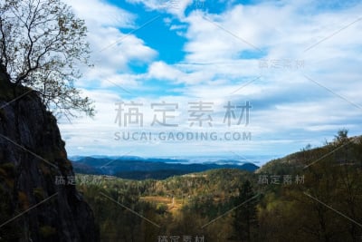 林中空地