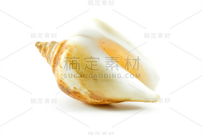 壳牌