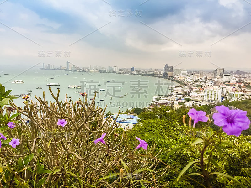 美丽的芭堤雅湾在普拉塔姆纳克山与蓝天背景和鲜花前景。芭堤雅是著名的海上运动和夜生活娱乐。