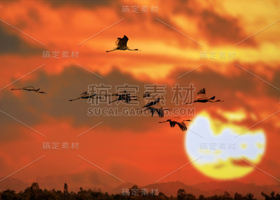 日落