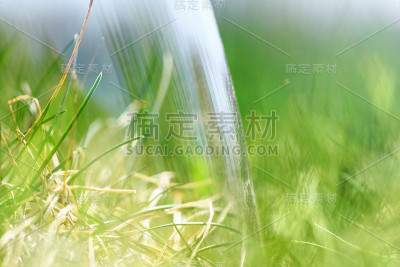 玻璃球，绿草如茵。生态环保理念