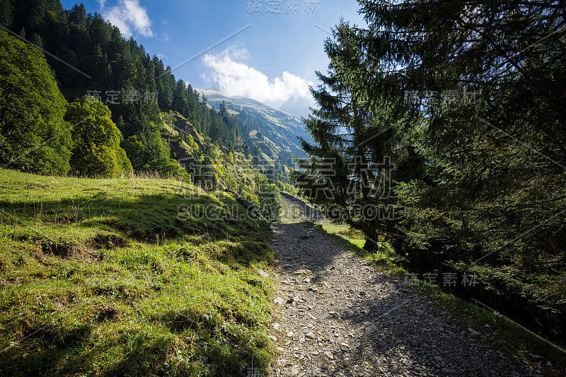 山景城/巴伐利亚徒步旅行路线