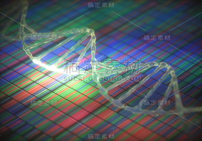 DNA编码序列