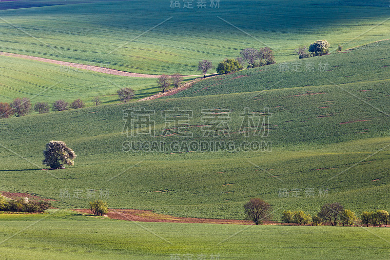 捷克共和国，南摩拉维亚油田