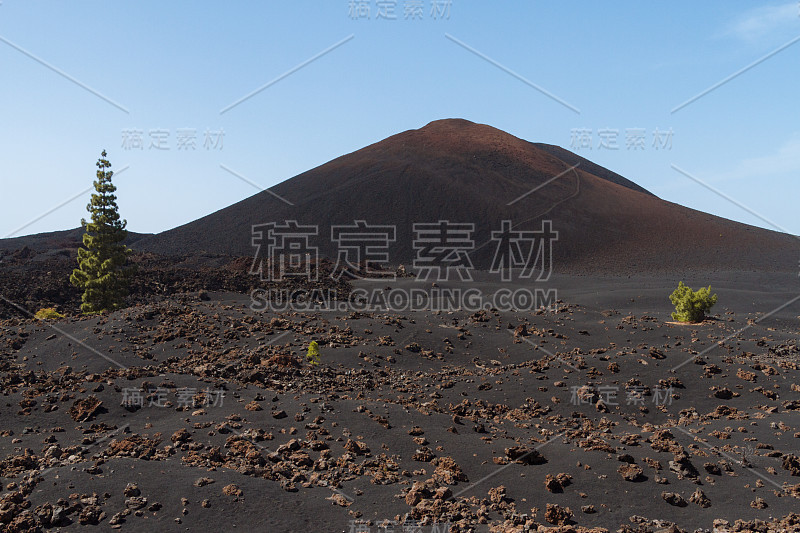 黑暗的火山沙漠景观与绿色的树木