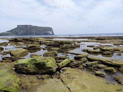 韩国苔藓土地