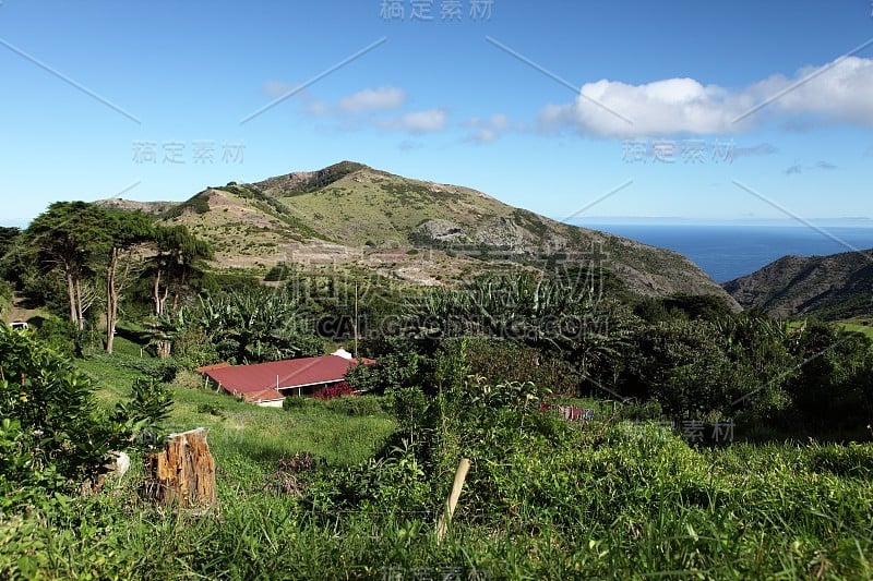 圣赫勒拿岛的汤普森伍德乡村地区