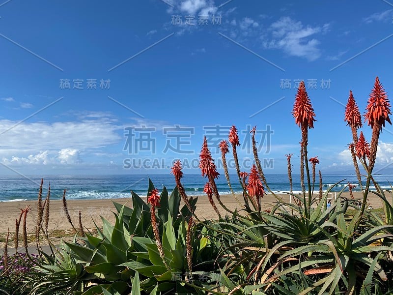 风景如画的曼哈顿海滩