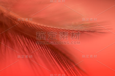 背景壁纸