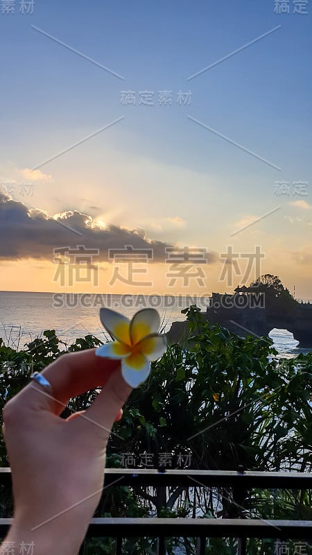 塔巴南-一个女人的手拿着一朵花与海景在日落