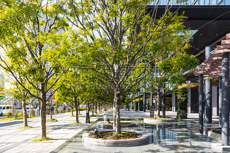 2 .办公大楼前绿树成荫的道路风景