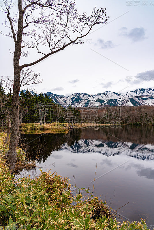 知床二湖五湖区。Nnatural美丽风景。知床国家公园