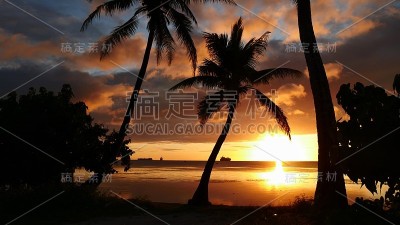棕榈树的剪影和惊人的日落倒映在海上