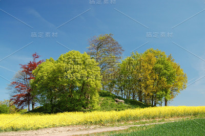 古坟