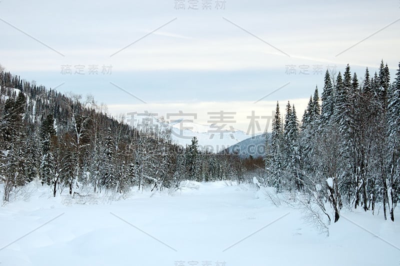 山区森林，冬季山谷。