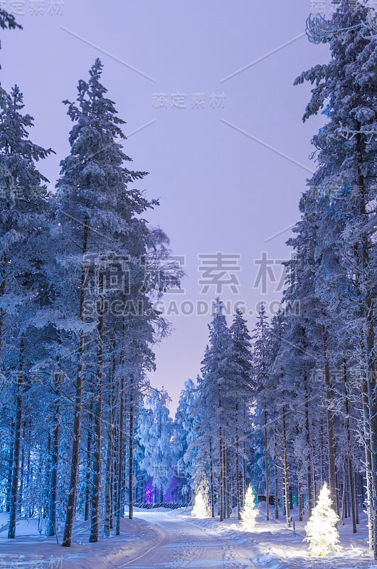 目的地风景的想法和概念。令人惊叹的宁静的冬季森林风景在芬兰的北极圈北欧地区索米。垂直拍摄