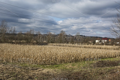 全景