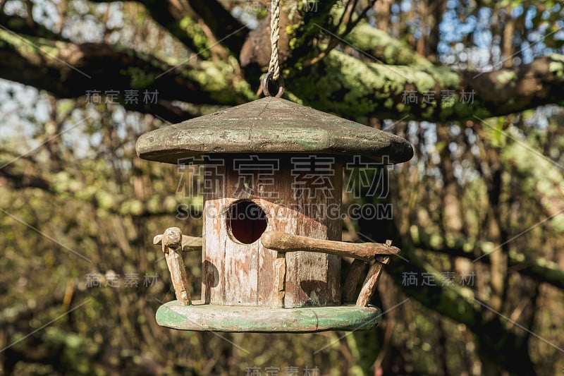 小鸟屋在花园里